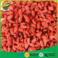 Chinese ningxia dried wolfberries